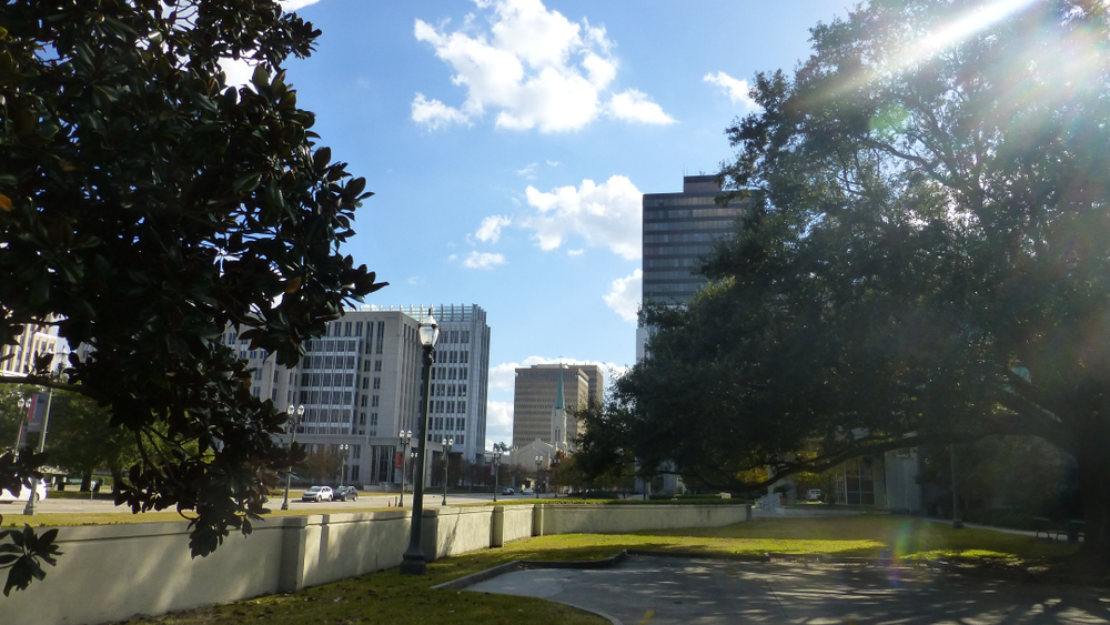 Office buildings viewed across a quiet city park
