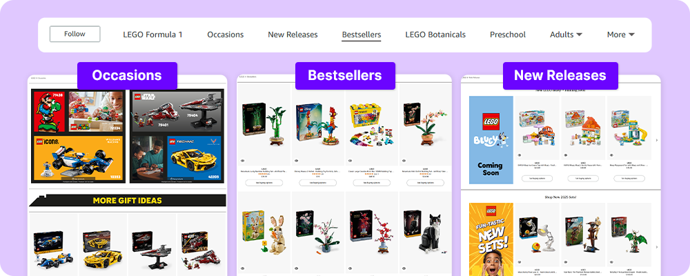 Windows of the Amazon website