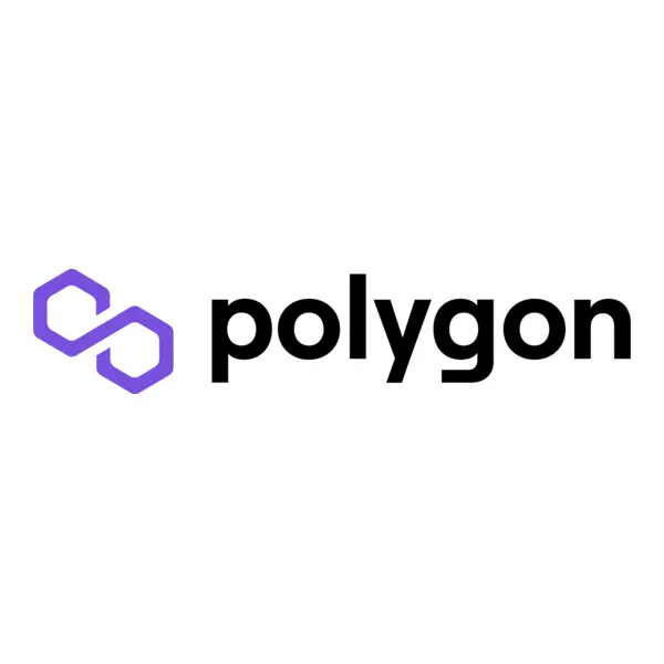 Polygon logo featuring a stylized purple hexagonal chain link icon to the left of the word 'polygon' in lowercase black letters.