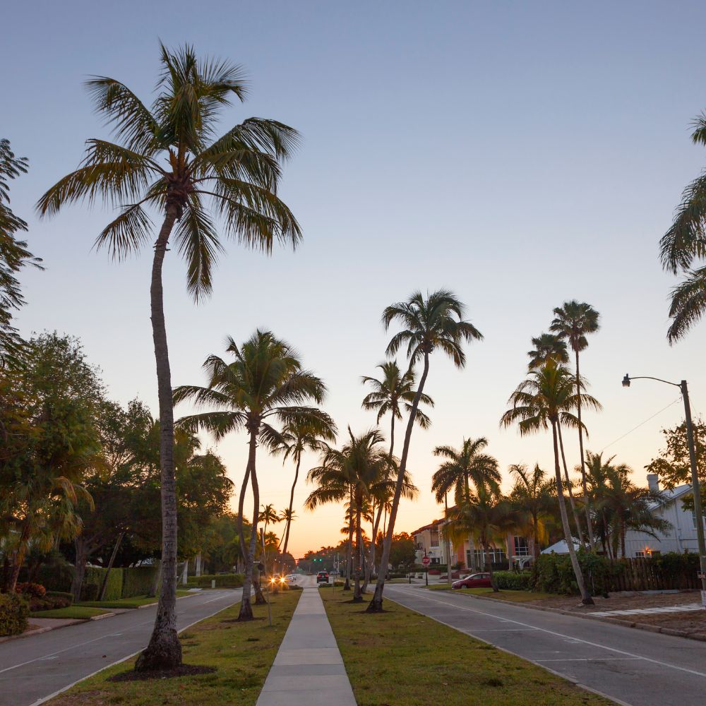 Palm trees lining a quiet residential street at dusk in DeBary, Florida