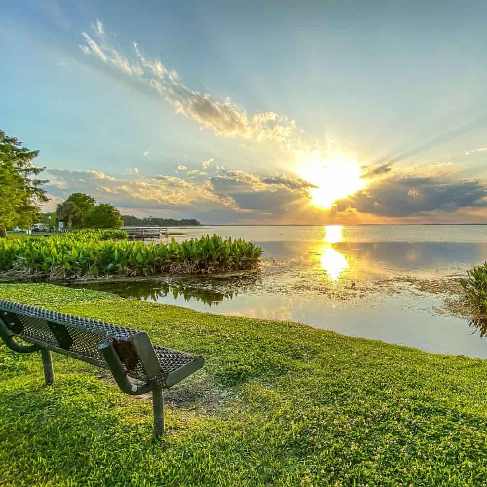 Bench on a grassy lakeshore at sunset, with a small pier in the distance, in Oakland, Florida