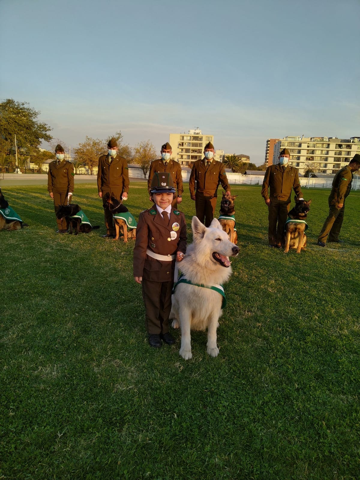 fábrica de sueños: perritos de carabineros