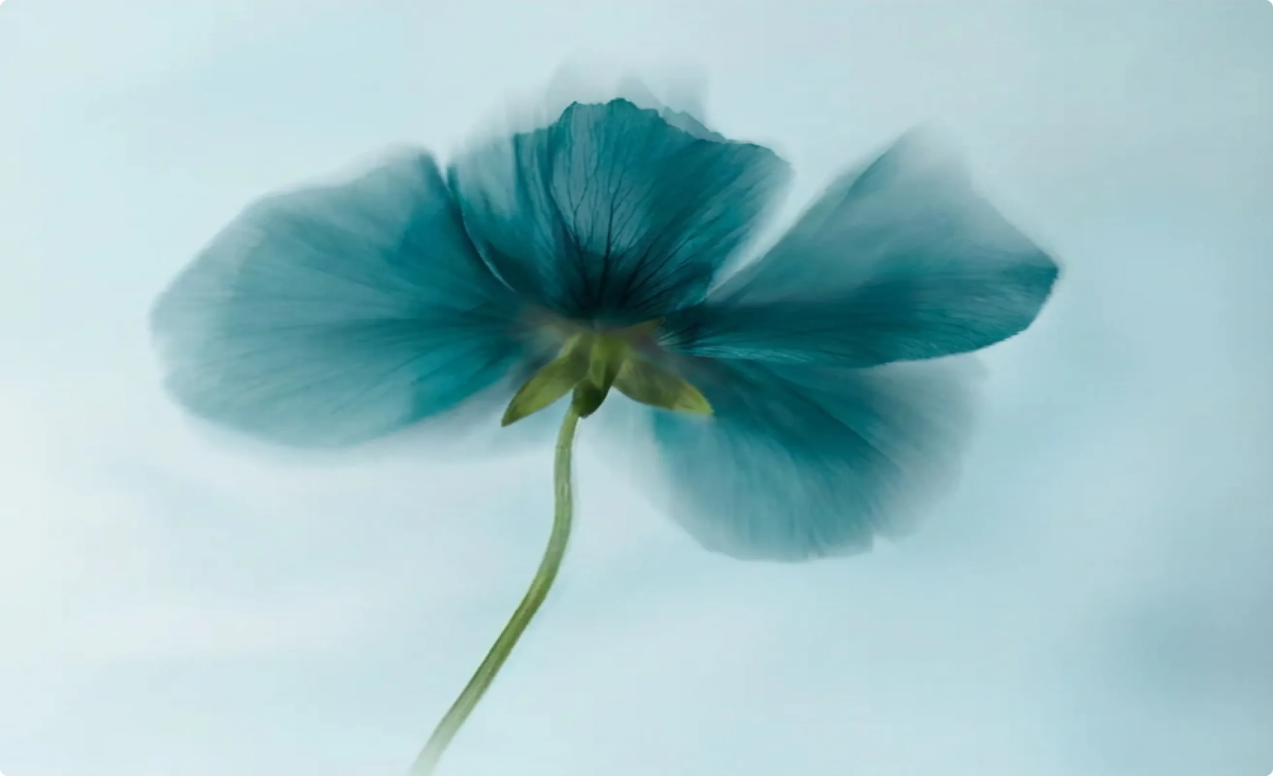 Pixen - Webflow Template Image