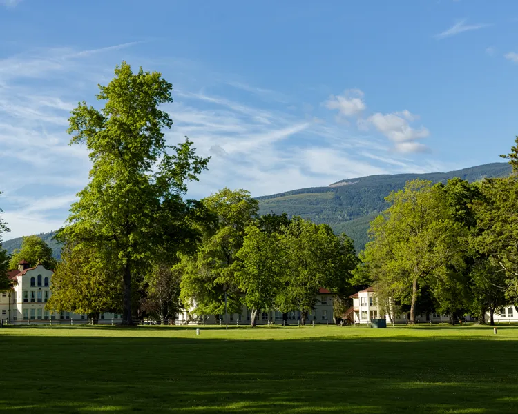 Adaptive reuse opportunity swift center landscape with green grass, trees, mountains in the background under a blue sky with wispy clouds