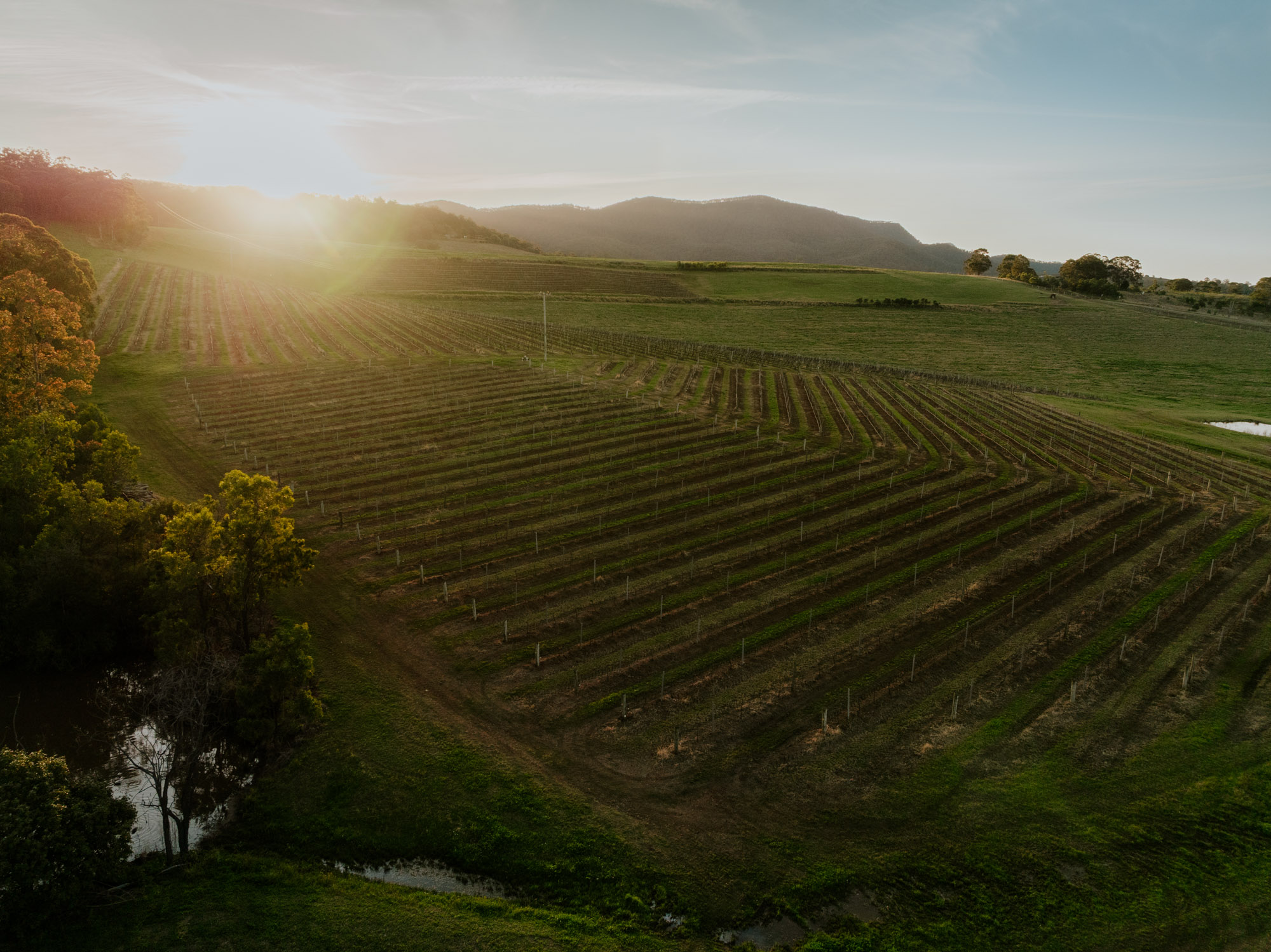 drone view of a winery