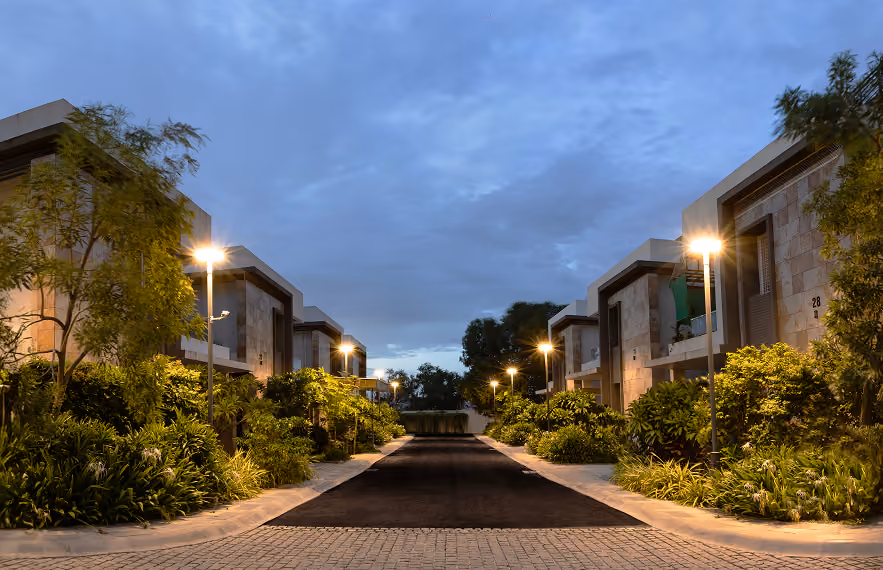 Levonor Image