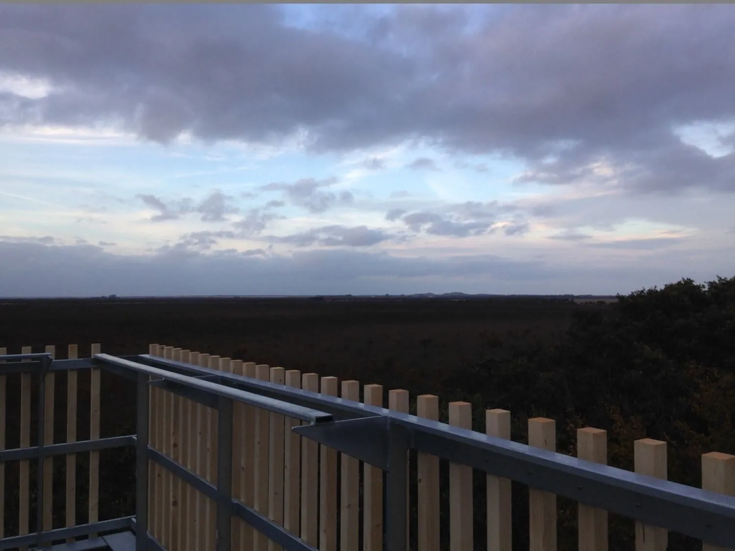 toftemose-udsigtstaarn-bobach_6126