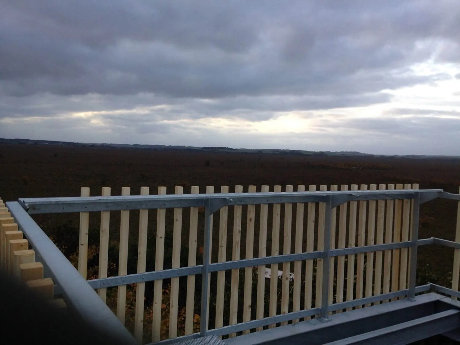 toftemose-udsigtstaarn-bobach_6114_(1)