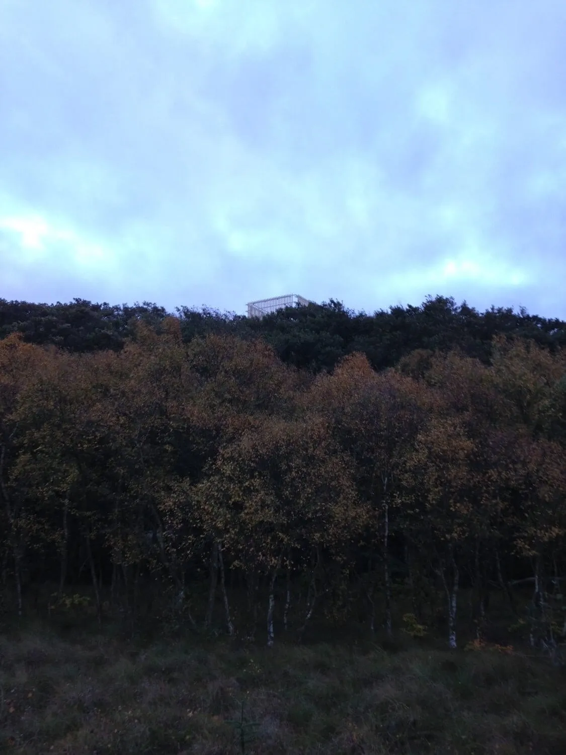 toftemose-udsigtstaarn-bobach_6122