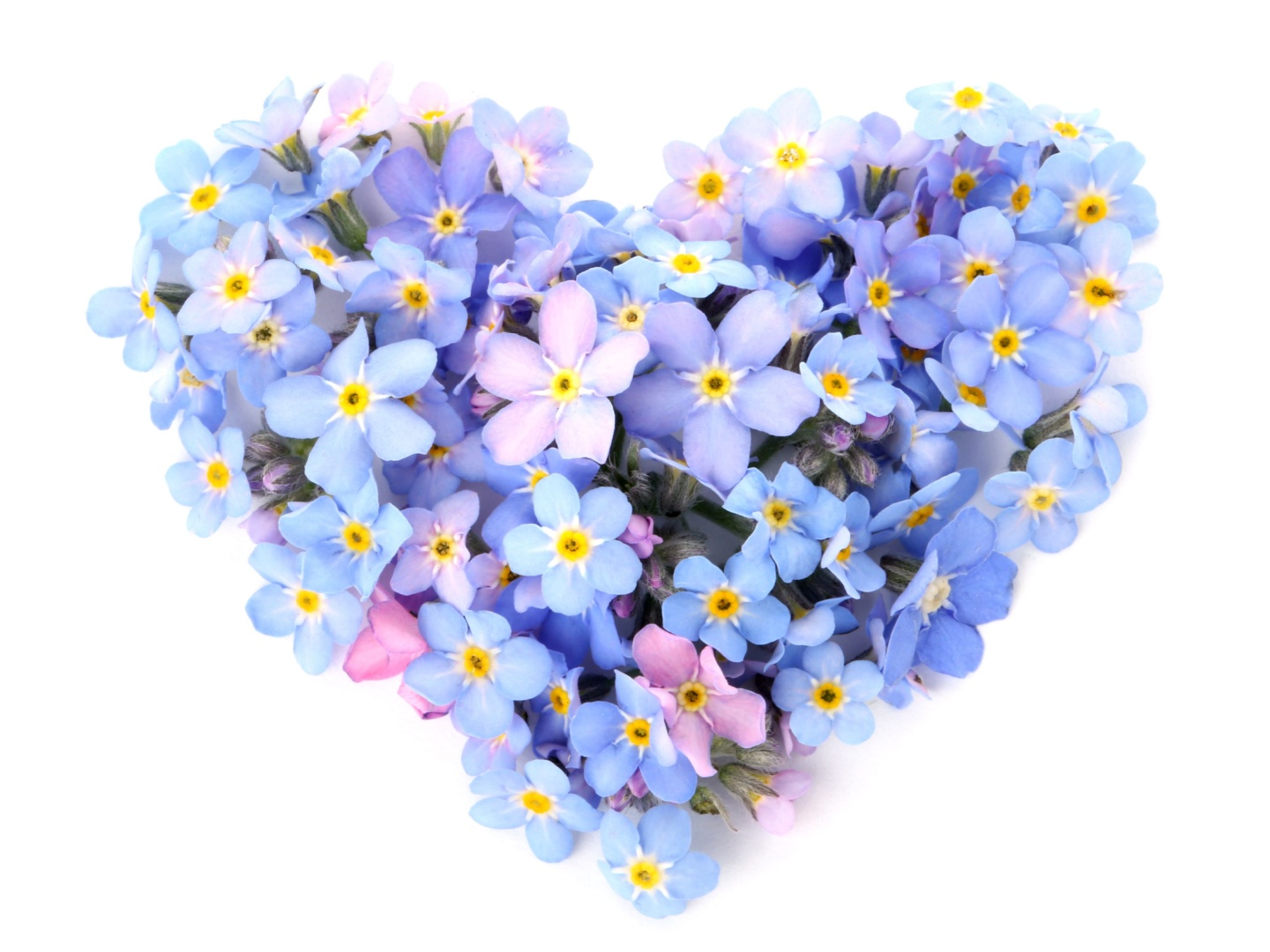 Heart made of blue and purple forget-me-not flowers symbolizing dementia awareness and the CaringKind gala