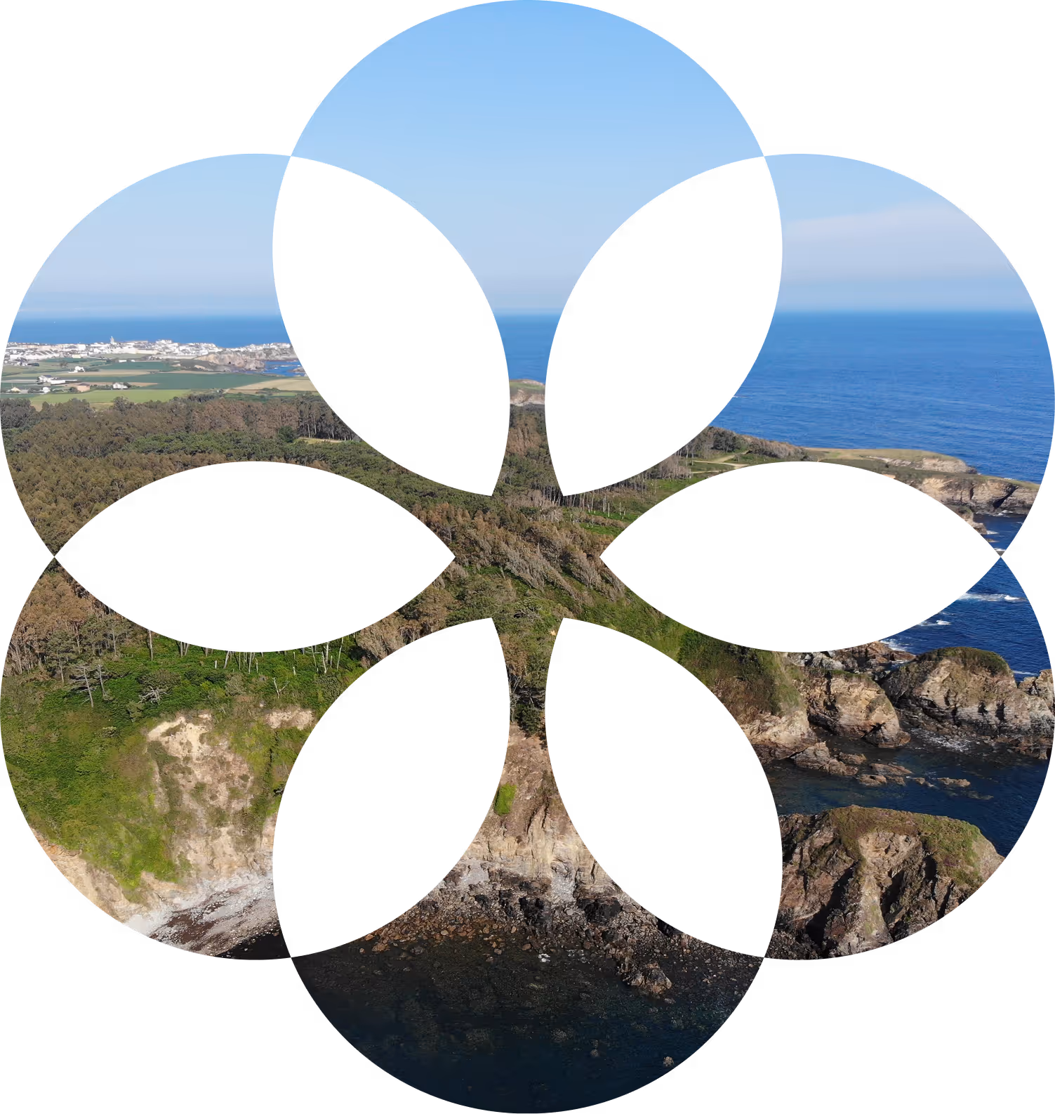 Aerial view of a rocky coastline with green cliffs and blue ocean under a clear sky, displayed within a flower-shaped overlay.