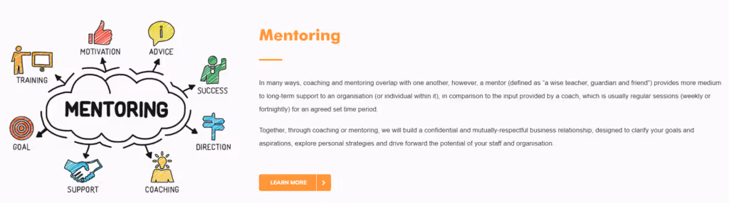 Mentoring can be delivered in-house or by an external training provider.