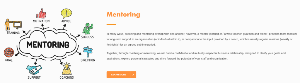 Mentoring can be delivered in-house or by an external training provider.