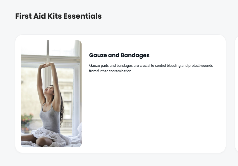 Slides within a 'Fist Aid Kits Essentials' course.
