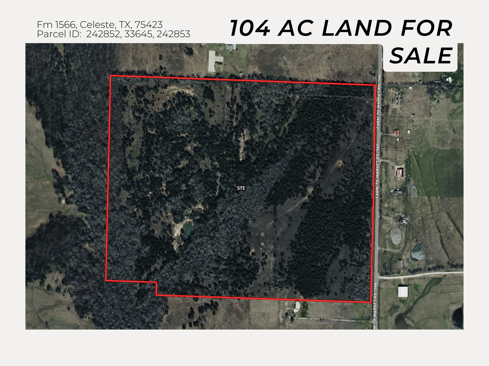 image of a family feeling content in a spotless kitchen