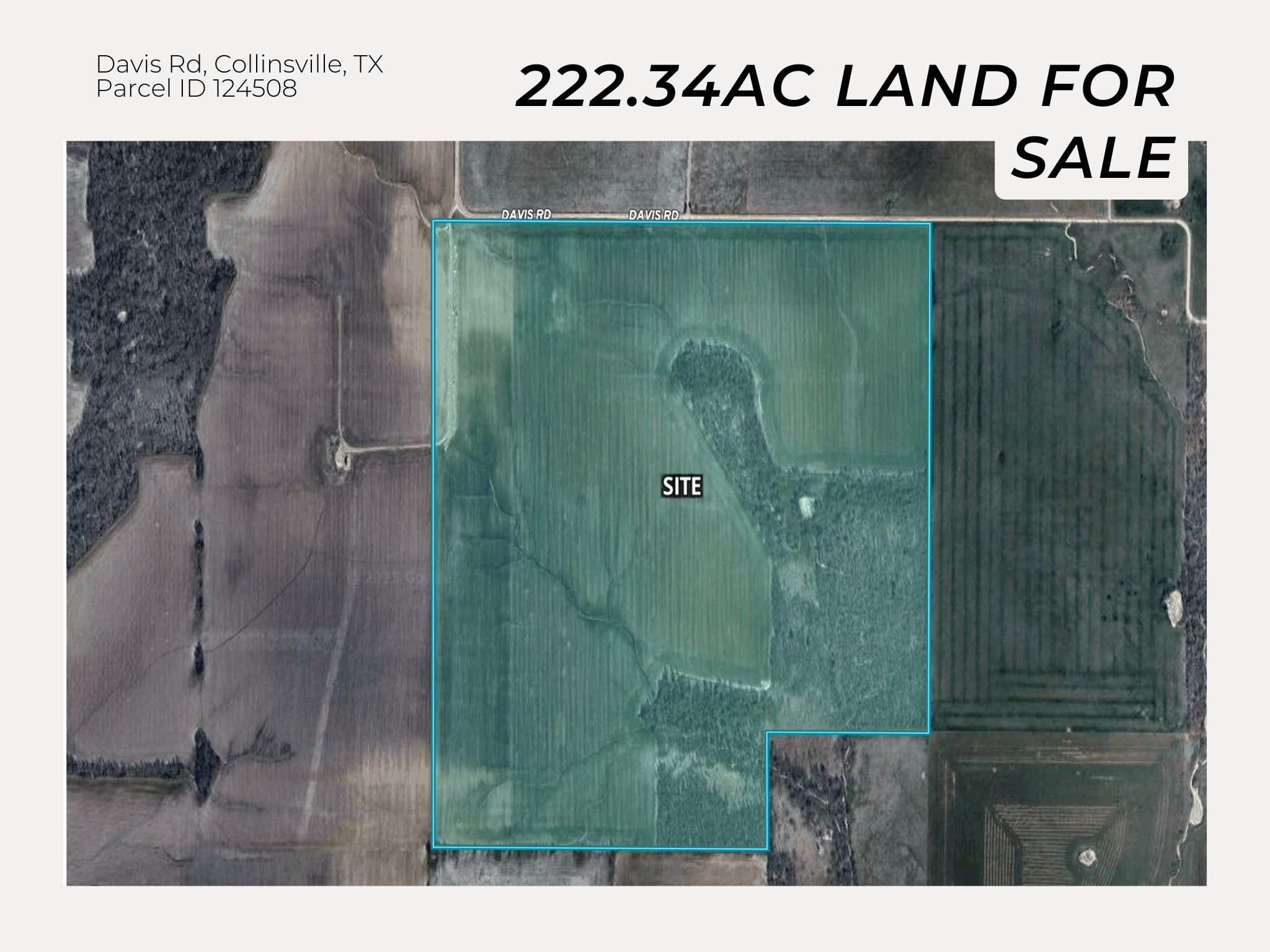 image of a family feeling content in a spotless kitchen