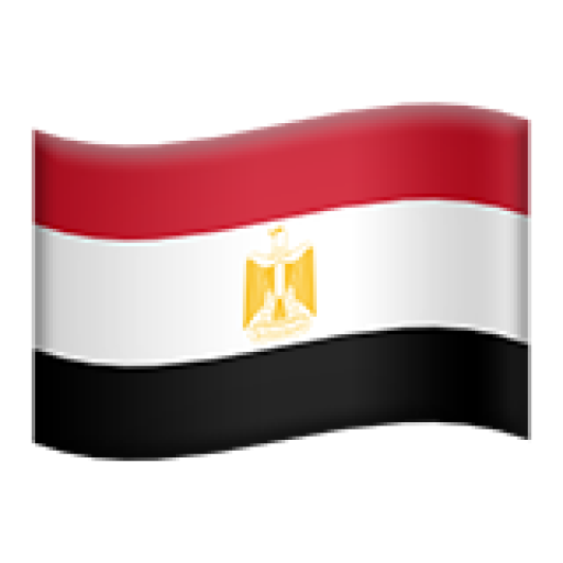 flag icon