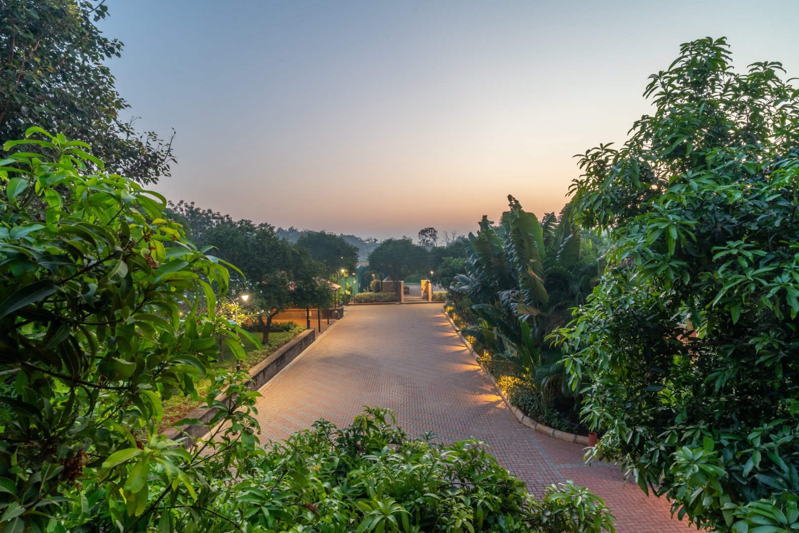 High-angle view of the long, brick-paved driveway at Sri Narayana Vanam farmhouse in Moinabad, Hyderabad, illuminated by recessed ground lighting and framed by dense tropical trees and greenery at Survey number 129, Aziznagar, Telangana 500075.