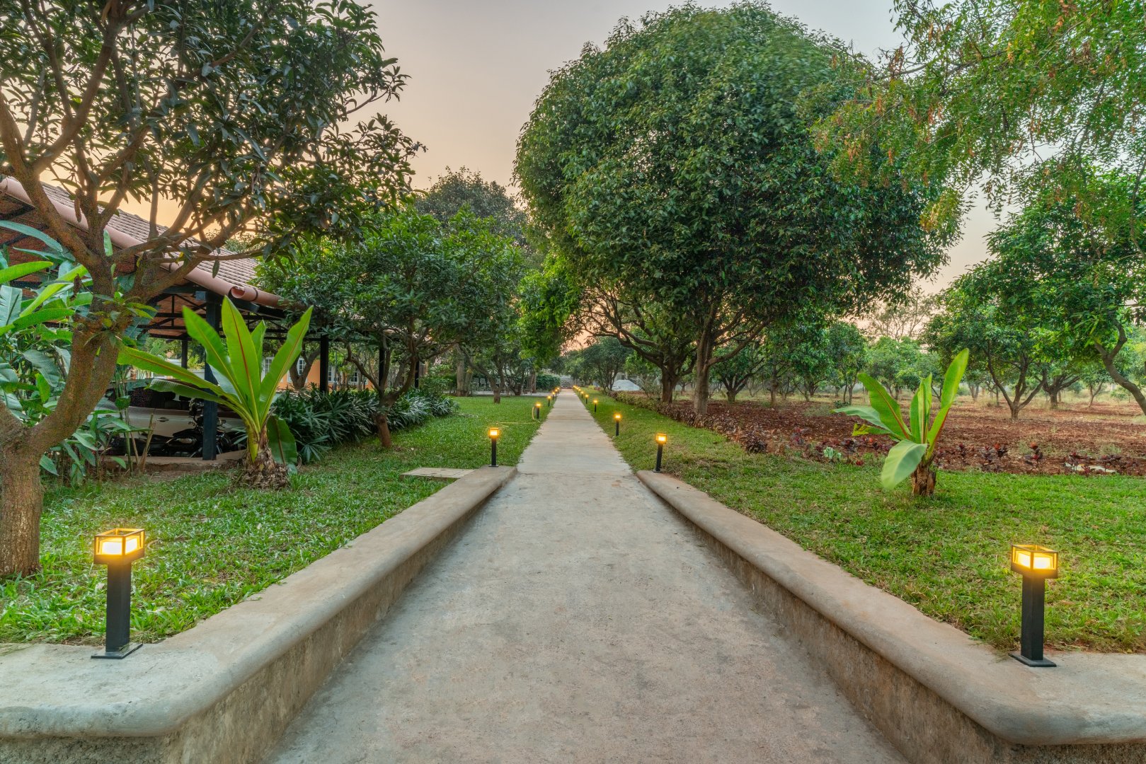 Scenic garden pathway at Sri Narayana Vanam farmhouse in Moinabad, Hyderabad, featuring a long concrete walkway lined with glowing bollard lights and lush green trees at Survey number 129, Aziznagar, Telangana 500075.