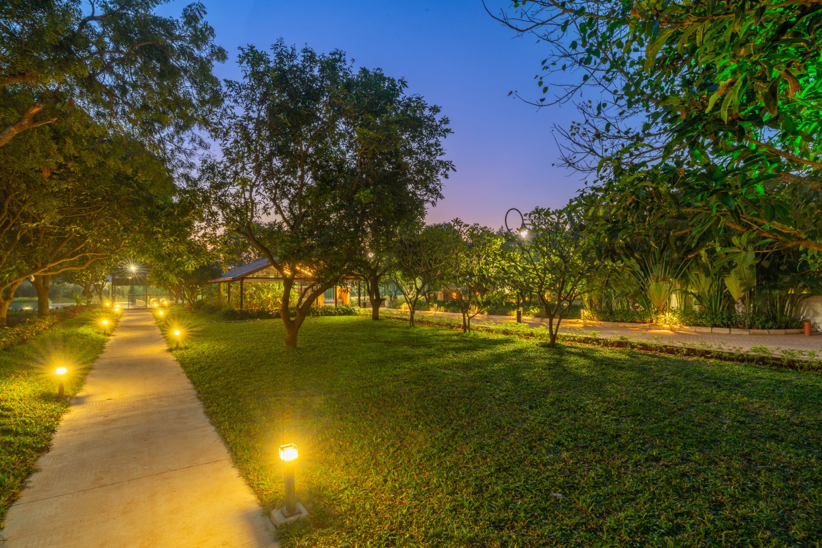 Scenic evening view of the illuminated pathway at Sri Narayana Vanam farmhouse in Moinabad, Hyderabad, featuring glowing bollard lights along a stone walkway, lush green lawns, and mature trees at Survey number 129, Aziznagar, Telangana 500075.