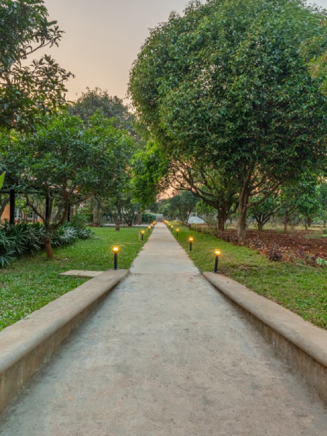 Scenic walking pathway lined with warm garden bollard lights and lush green trees at a boutique farm stay. Located at Survey number 129, Moinabad Mandal, Aziznagar, Hyderabad, Telangana 500075. This peaceful nature trail offers a serene environment for morning walks and evening strolls during a luxury farmhouse vacation.