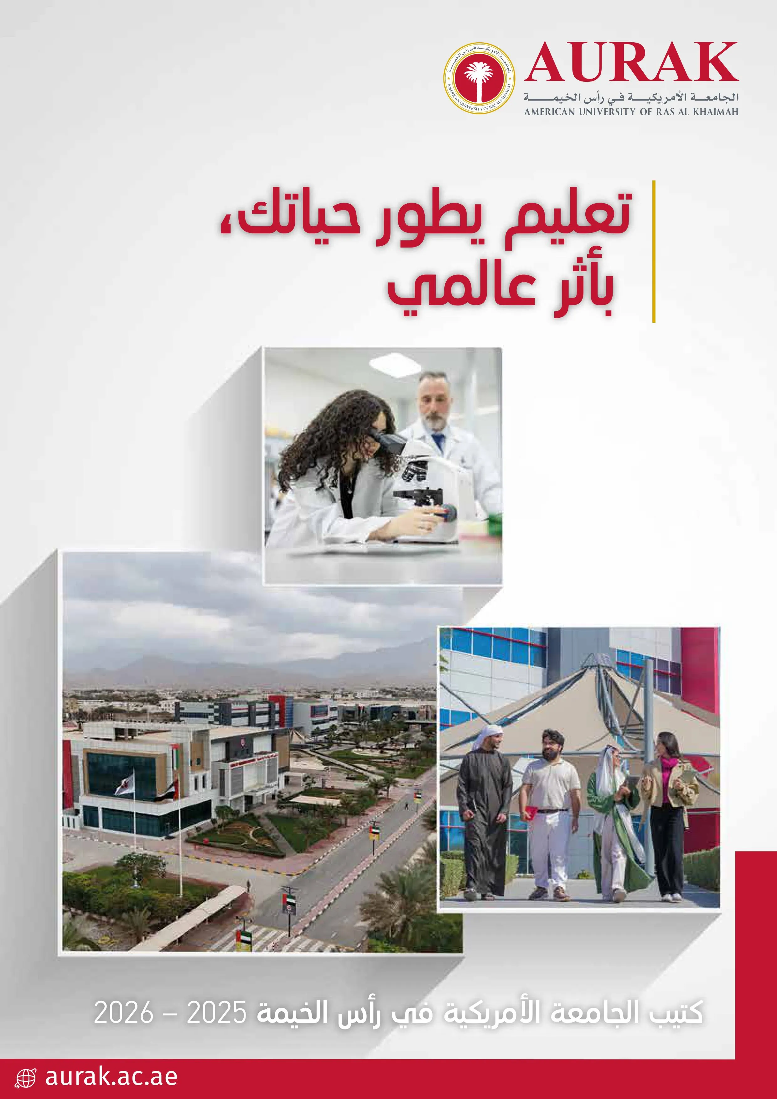 حول الصورة