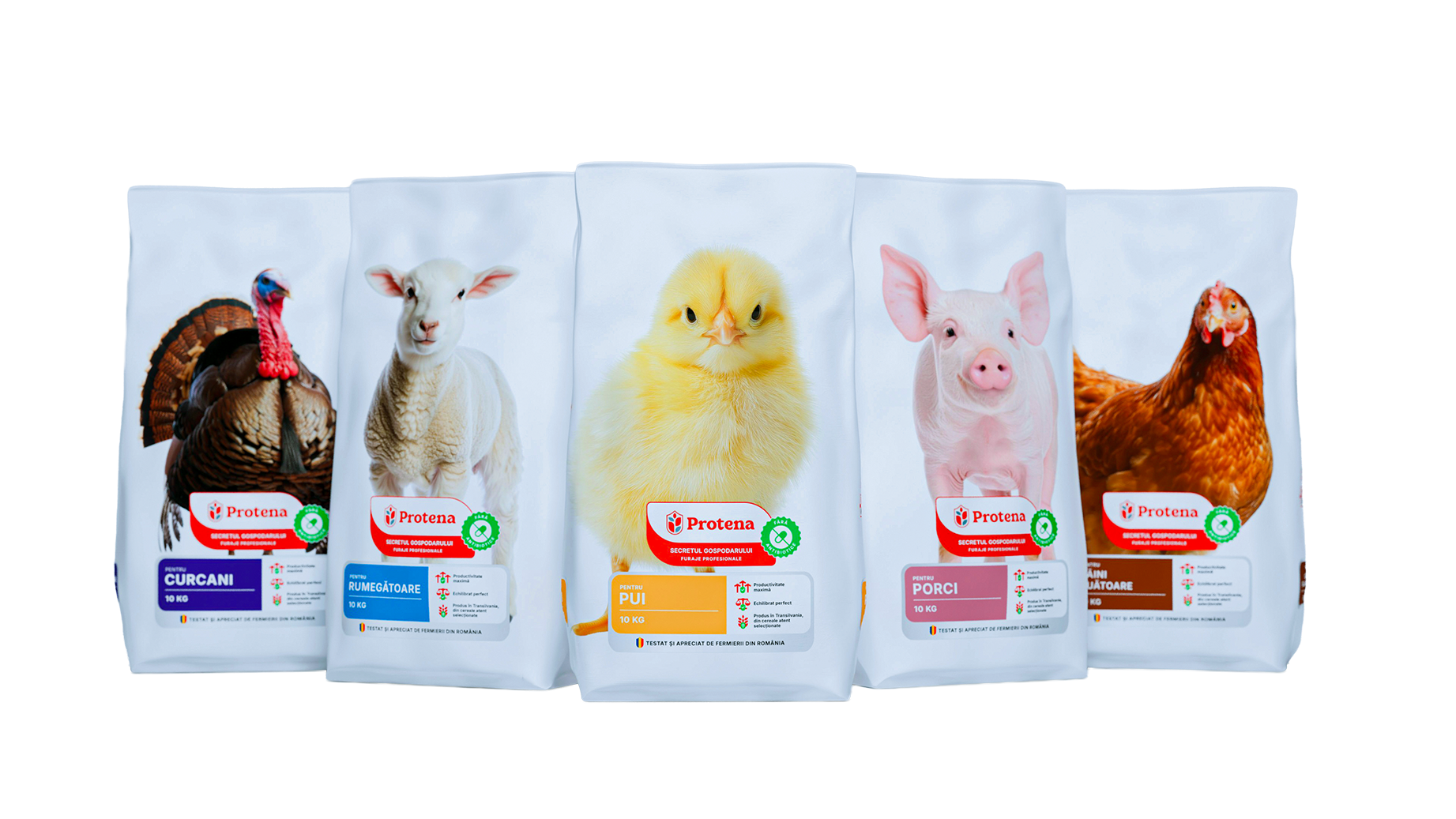 Gama de furaje Protena