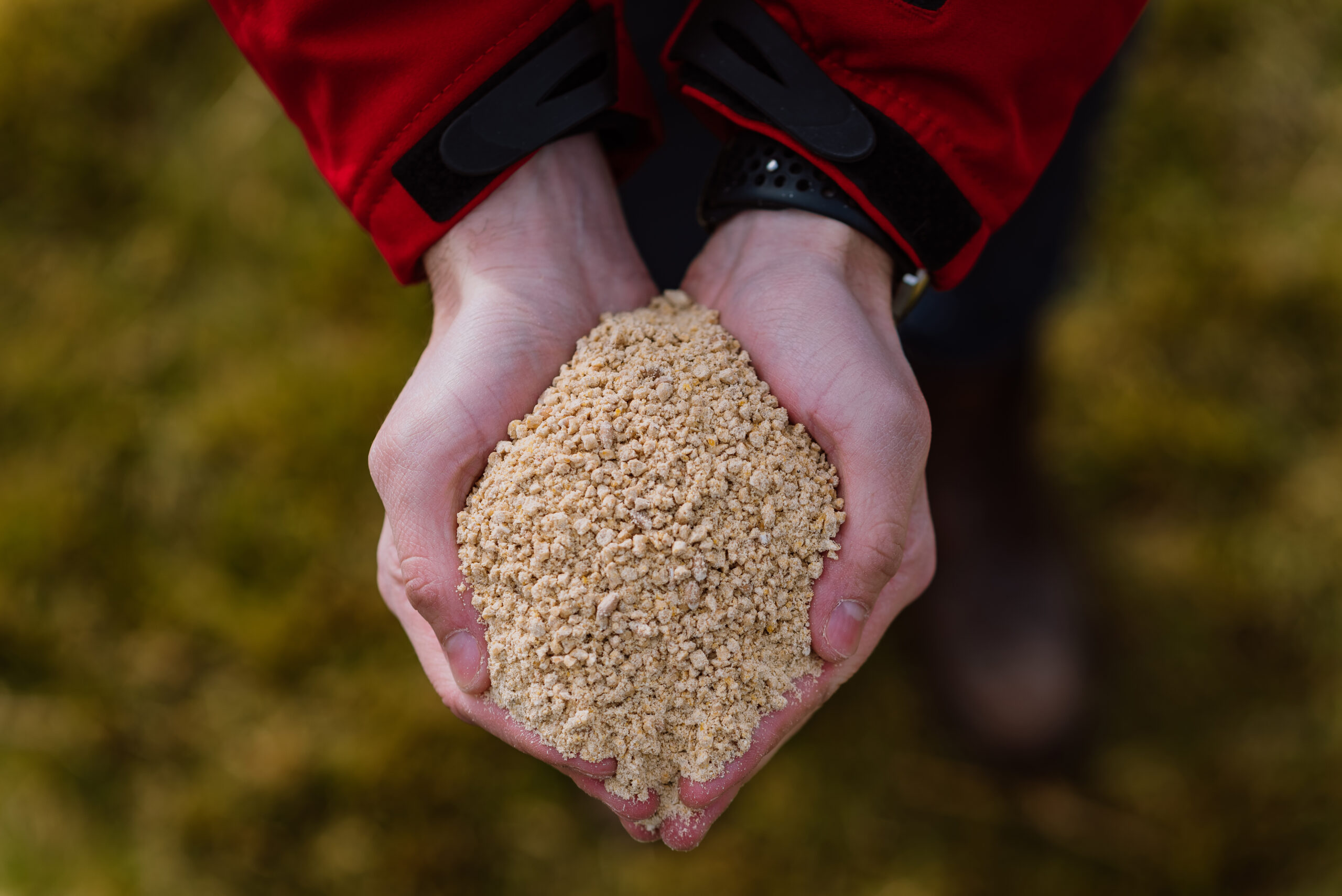 Cum alegi cele mai bune furaje pentru animale sănătoase