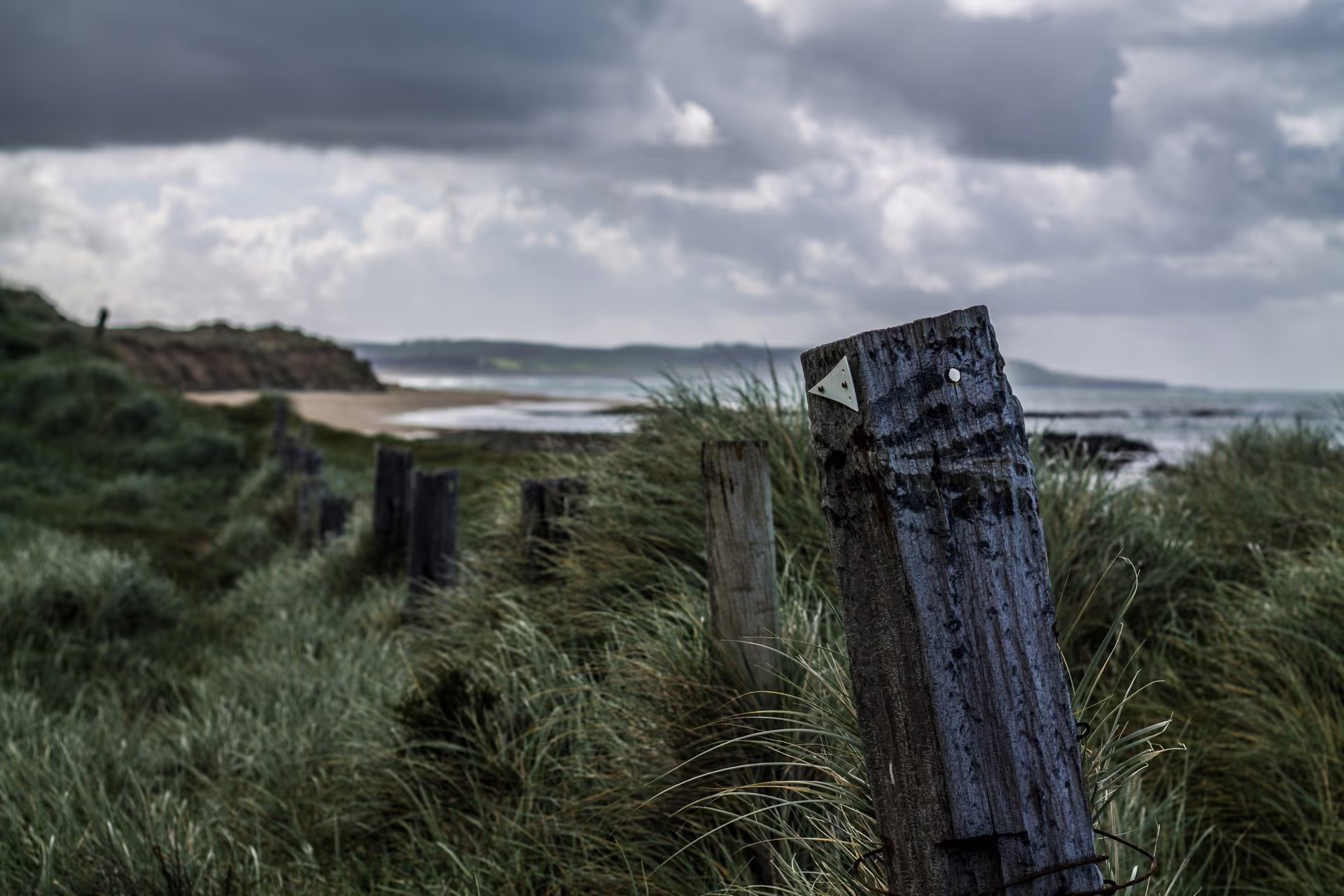 A weathered post marked with a triangle, surrounded by tall grass, overlooking a moody beach under stormy skies.