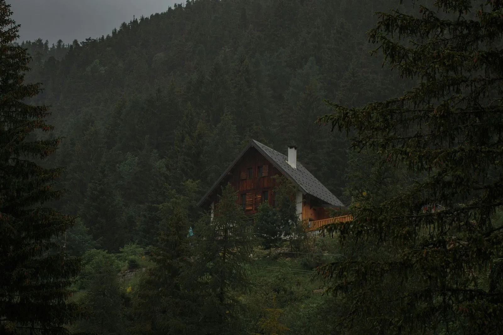 A cozy wooden chalet nestled amidst dense, dark green pine trees on a misty mountain hillside.