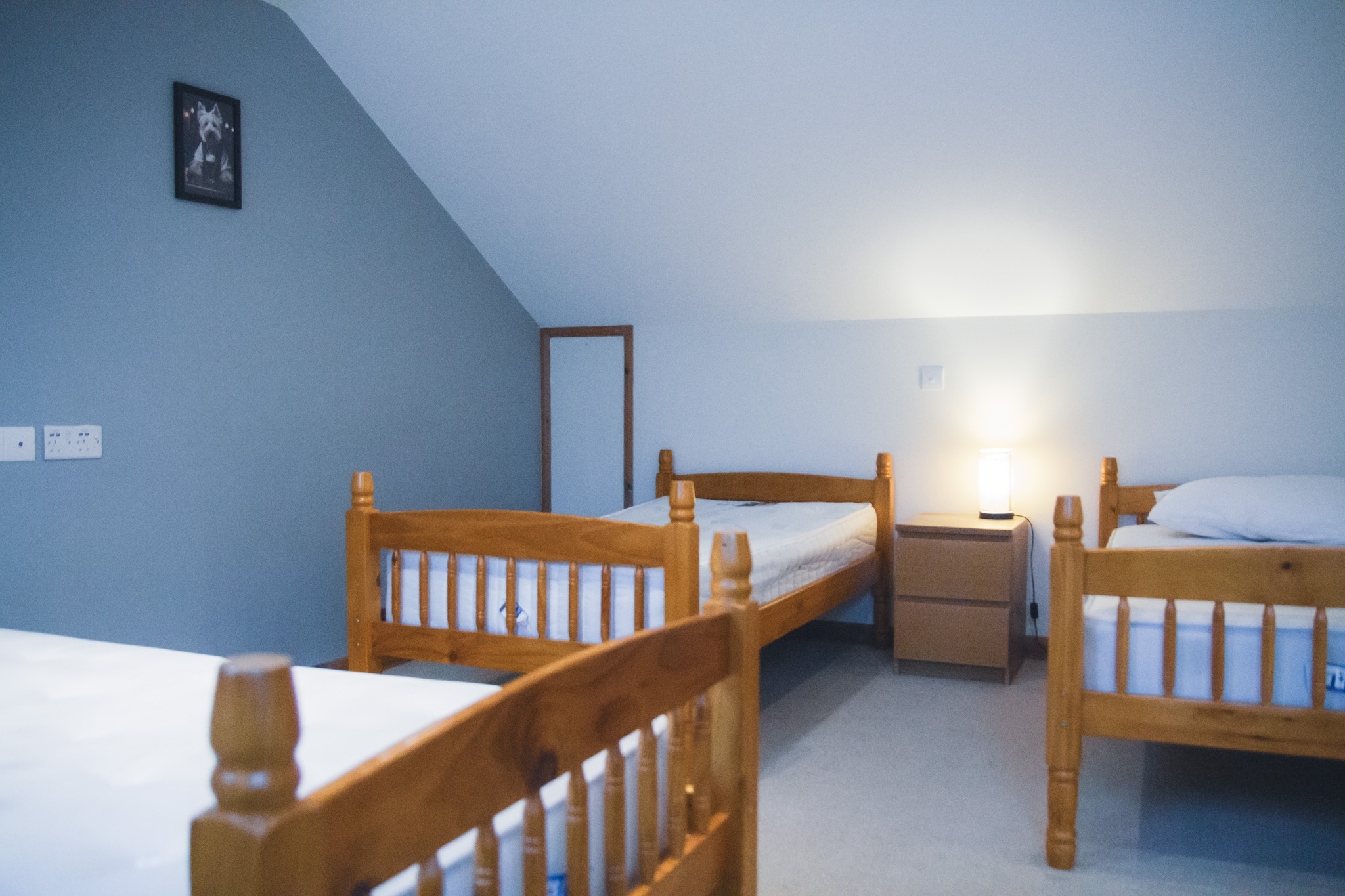Cozy wooden cabin interior featuring a dark gray sofa, wooden dining table, and large windows with views of greenery outside.