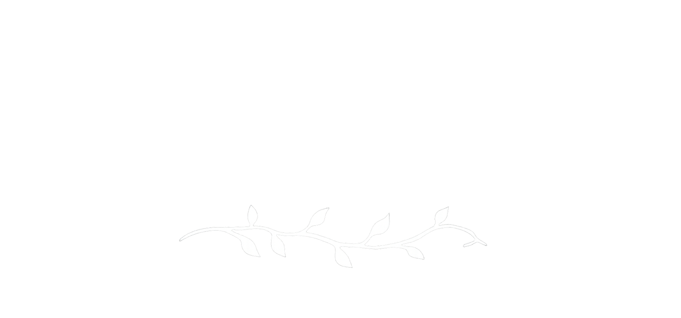 Juhlatila Taimi logo