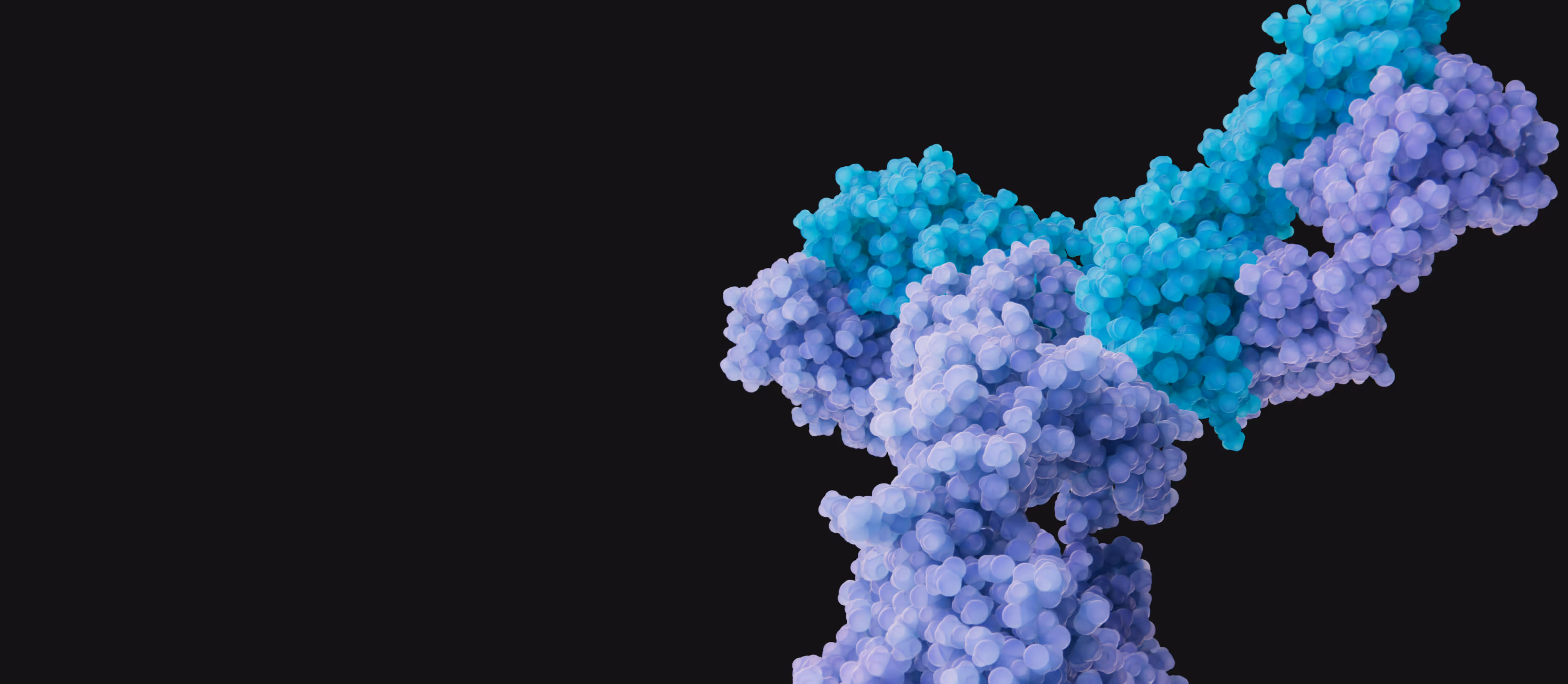 3D rendering of SL-325 antibody