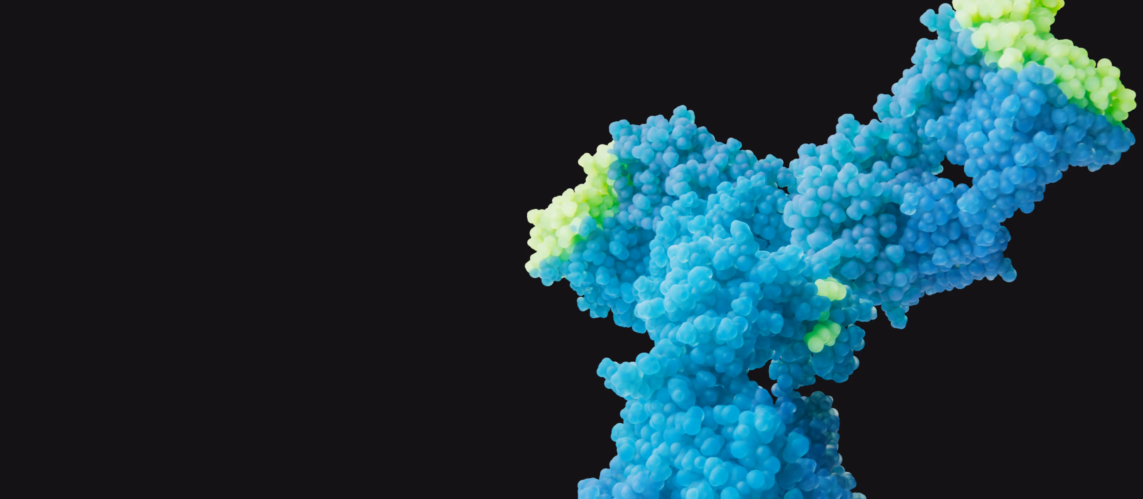 3D rendering of SL-325 antibody