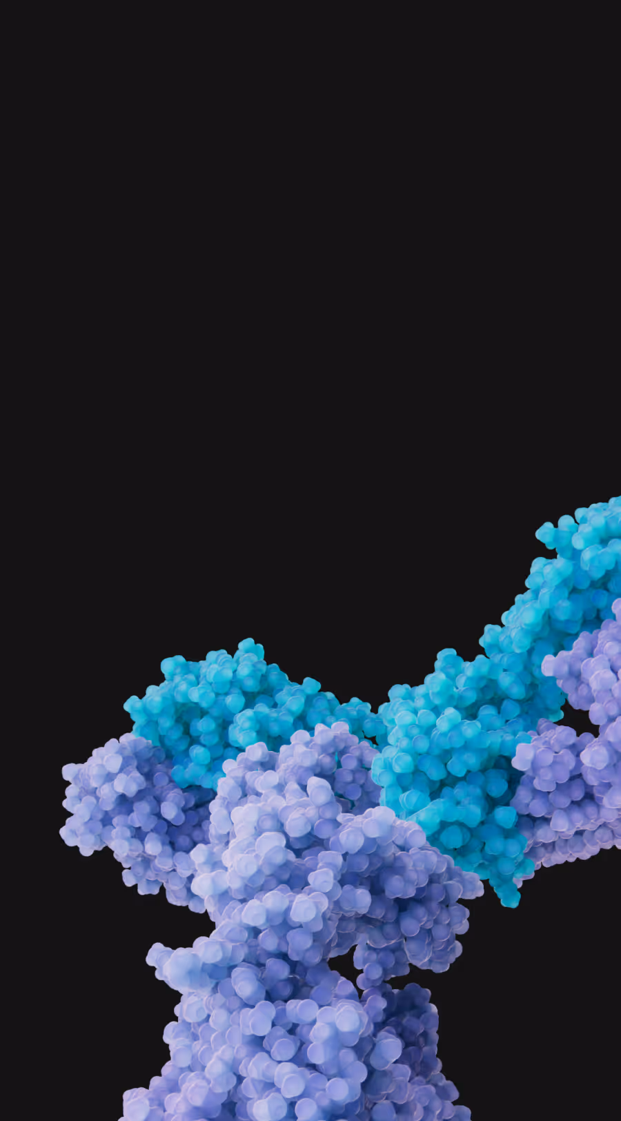 3D rendering of SL-325 antibody