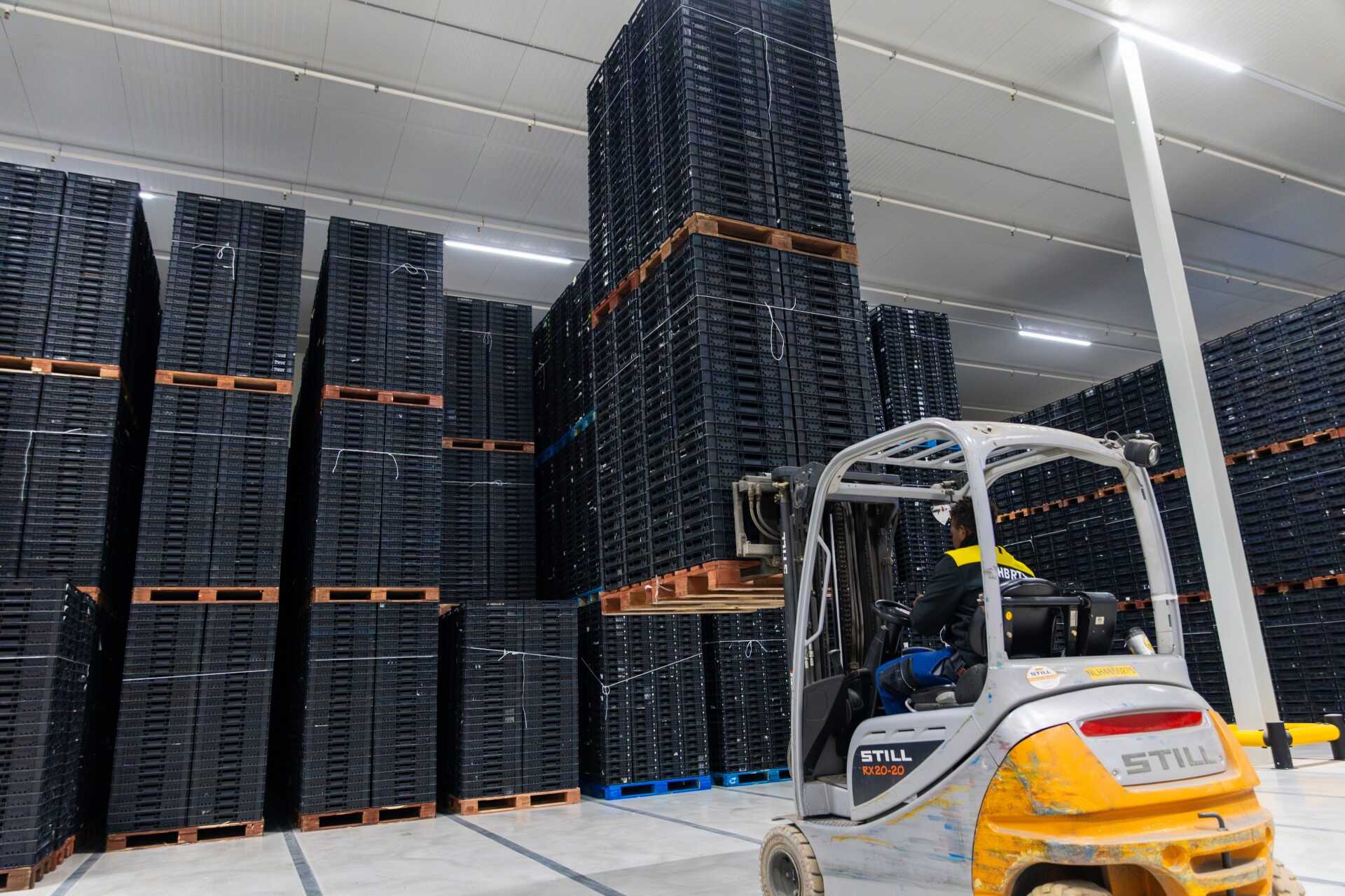 Fully stocked warehouse