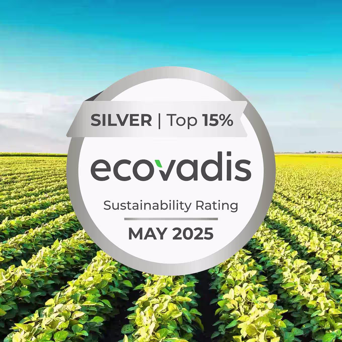 Green filed with blue sky