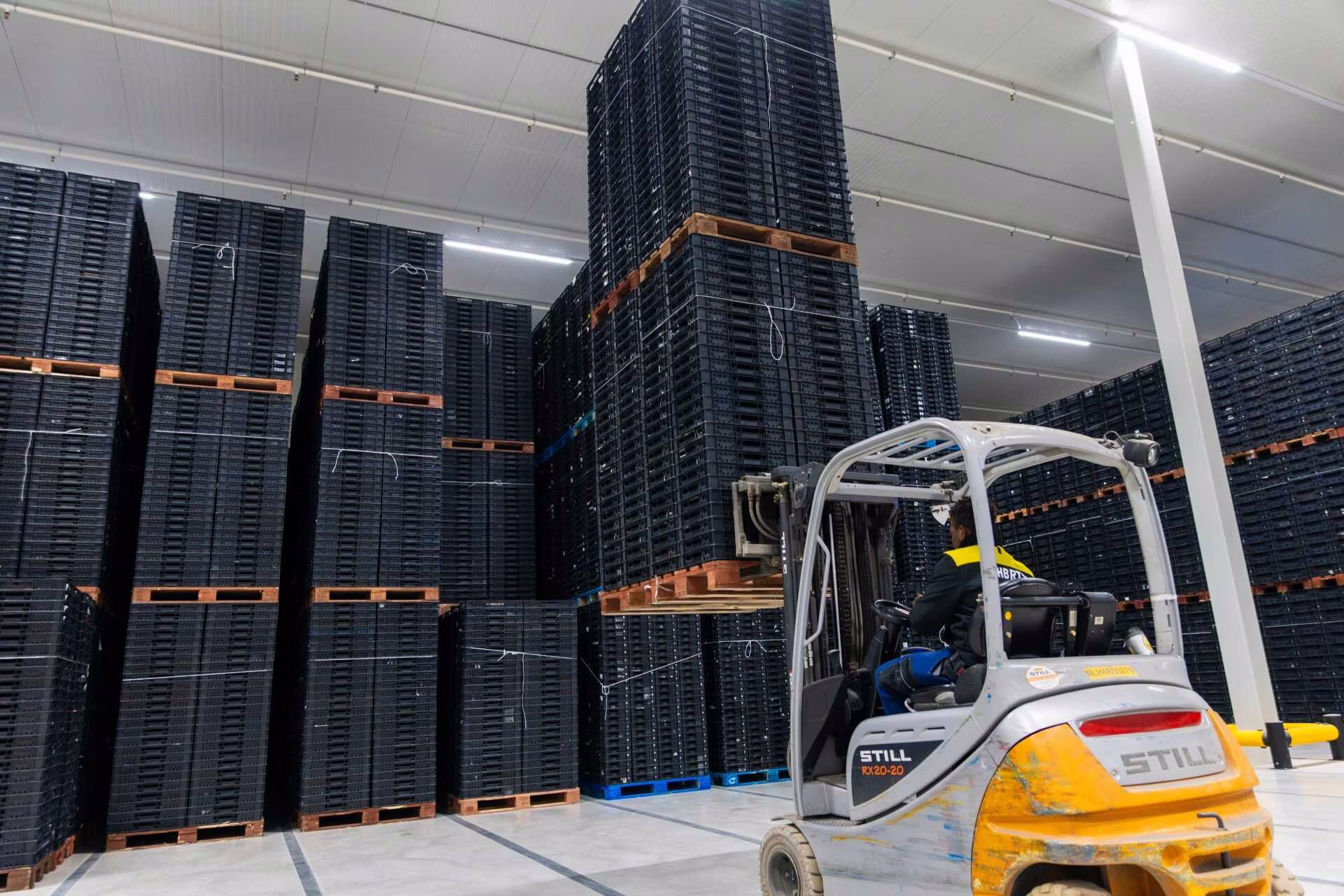 HB RTS start in de VS met duurzame bulkverpakkingsoplossingen. Ontdek hoe herbruikbare containers en slimme supply chain tools efficiëntie en circulariteit verbeteren.