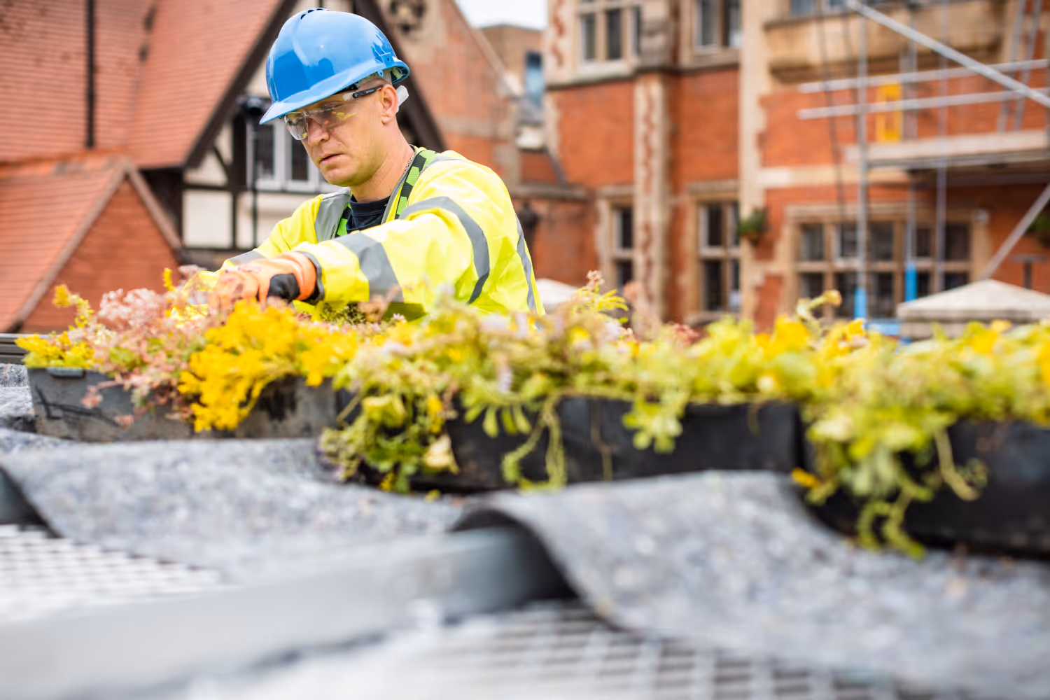 A Bauer Media Outdoor construction worker placing plants on top of a Living Roof to support the local environment
