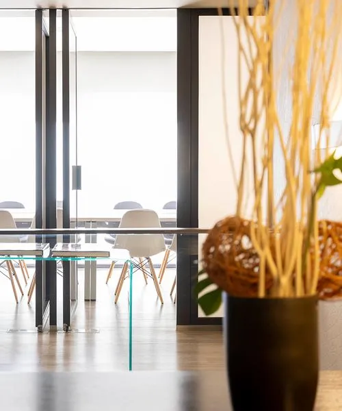 Oficina moderna con sillas blancas, mesas de cristal y pared de vidrio, con planta decorativa en primer plano.