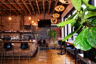 Cozy bar interior with wooden beams, hanging lights, brick walls, and a large green plant by windows.