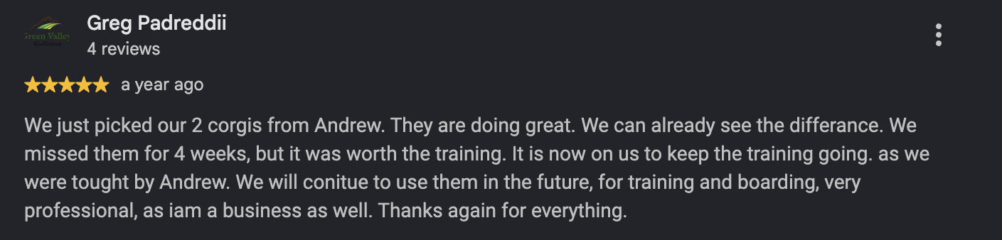 Google review from Greg Padreddii, a year ago