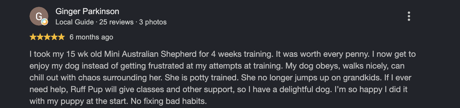 Google review from Ginger Parkinson, 6 months ago