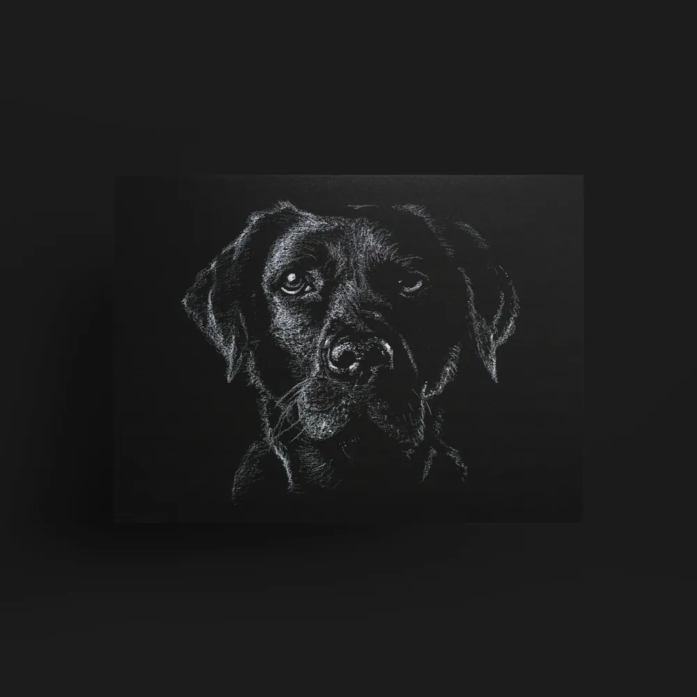 handgetekende illustratie met wit potlood van een hond