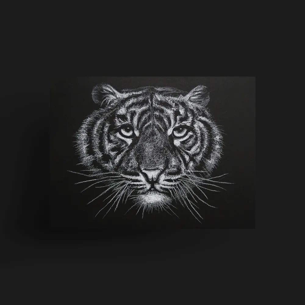 handgetekende illustratie met wit potlood van een leeuw