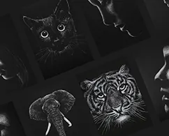handgetekende illustraties
