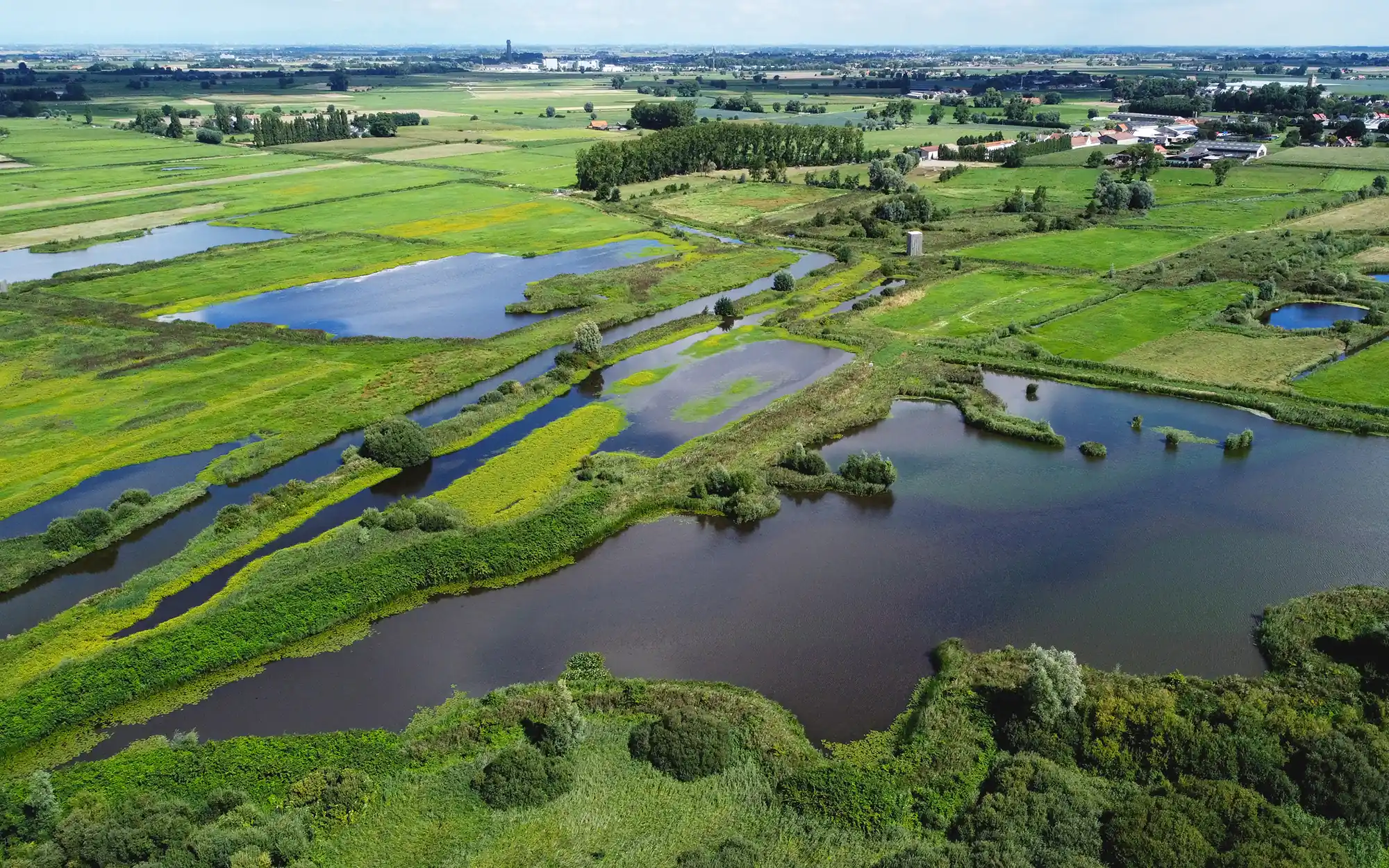 drone beeld van natuurgebied
