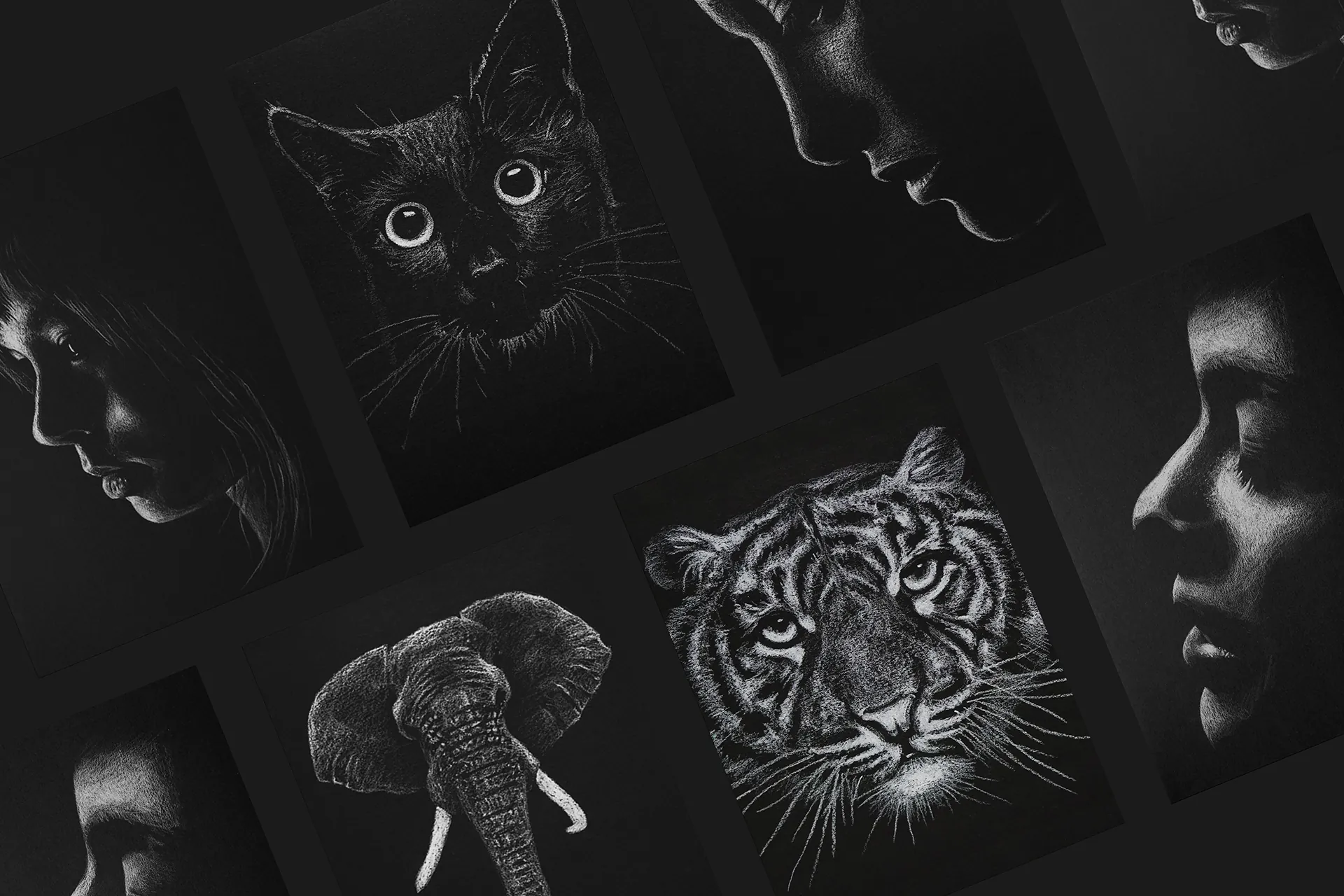 zwart-wit tekeningen van dierenhoofden en portretten