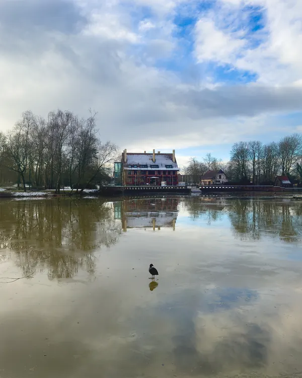 Natuurfoto meer