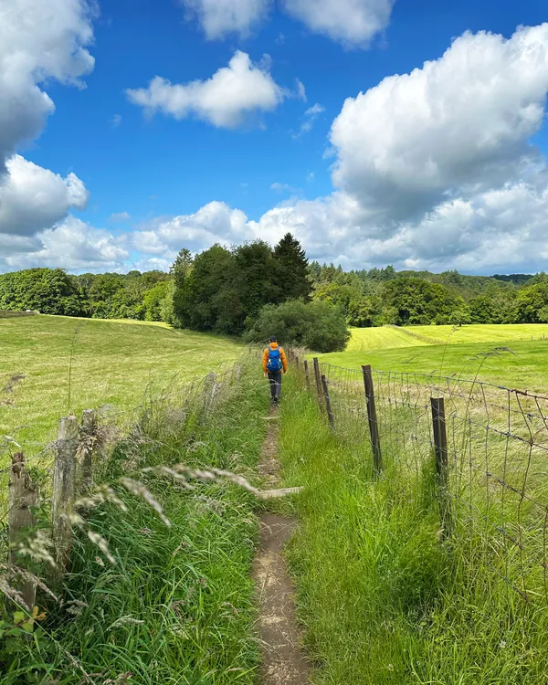 Natuurfoto velden wandelpad